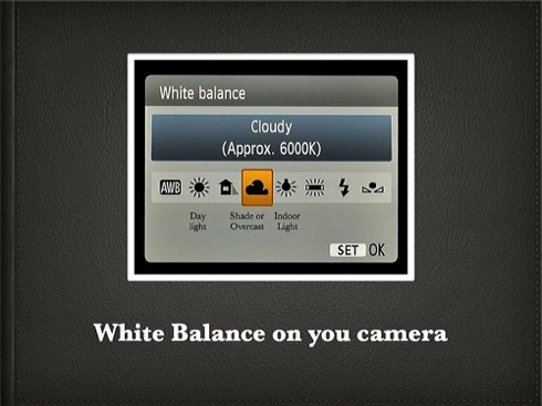 How to White Balance.005.jpg How to White Balance.005.jpg